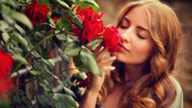 What’s your favorite scent?