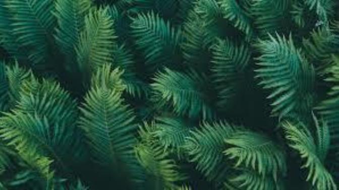 Check out this color, favorite color?