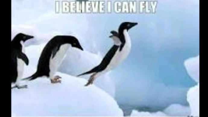 Can Penguins actually fly?
