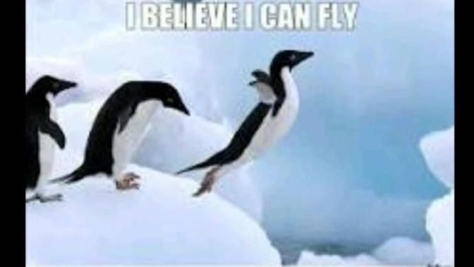 Can Penguins actually fly?