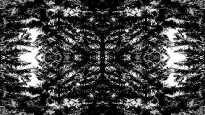 What do you think of the band Vildhjarta's song Dimman?