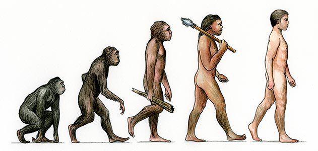 Do you believe in Human evolution and are you religious?