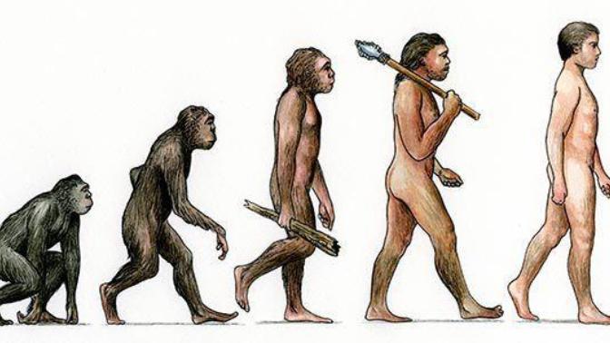 Do you believe in Human evolution and are you religious?