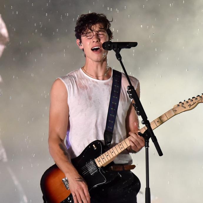 Girls, What’s  your opinions on Shawn Mendes?