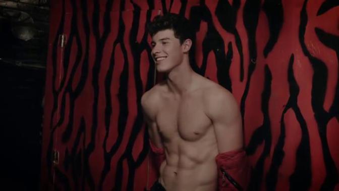 Girls, What’s your opinions on Shawn Mendes?