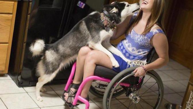 Would you date a paraplegic?