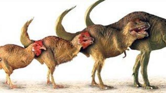 Is a chicken technically a dinosaur?
