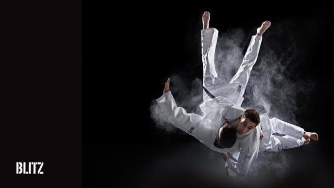 What is your opinion on Judo/martial arts?
