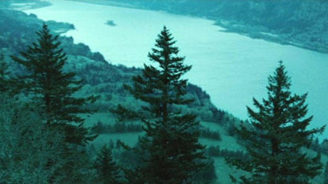 Where is the twilight forest located?