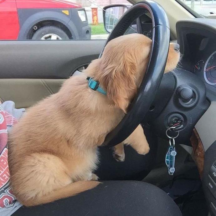 What's the farthest you've drove to meet someone from the internet?