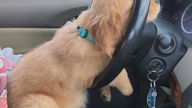 What's the farthest you've drove to meet someone from the internet?