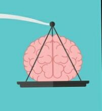 Logic VS Emotion: What is more important?