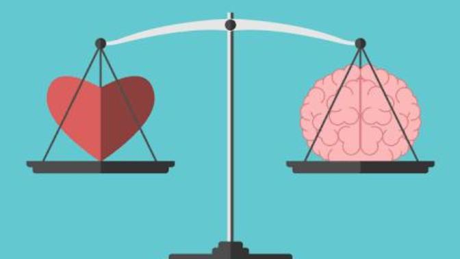 Logic VS Emotion: What is more important?