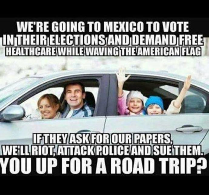 Should illegal immigrants have the right to vote in local, state or Presidential elections?