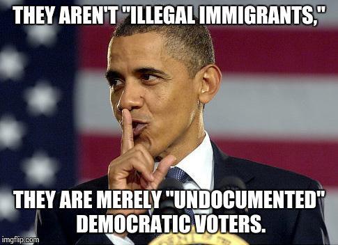 Should illegal immigrants have the right to vote in local, state or Presidential elections?