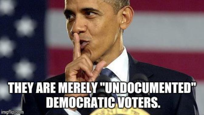 Should illegal immigrants have the right to vote in local, state or Presidential elections?