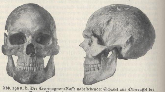 If you can't have a Cromagnon jaw why even live?