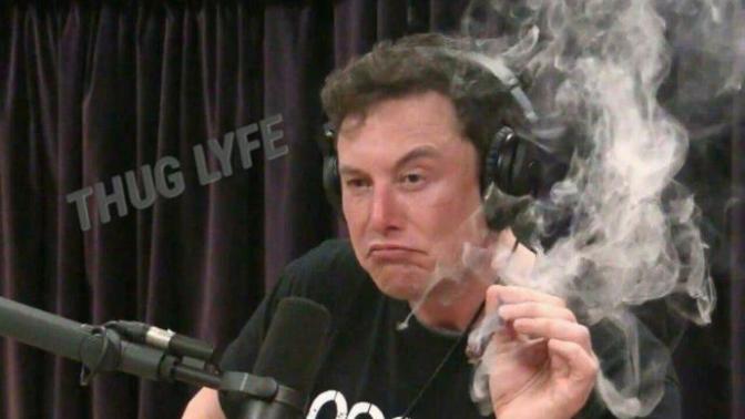 People are big mad about Elon Musk smoking weed on Rogan, thoughts?
