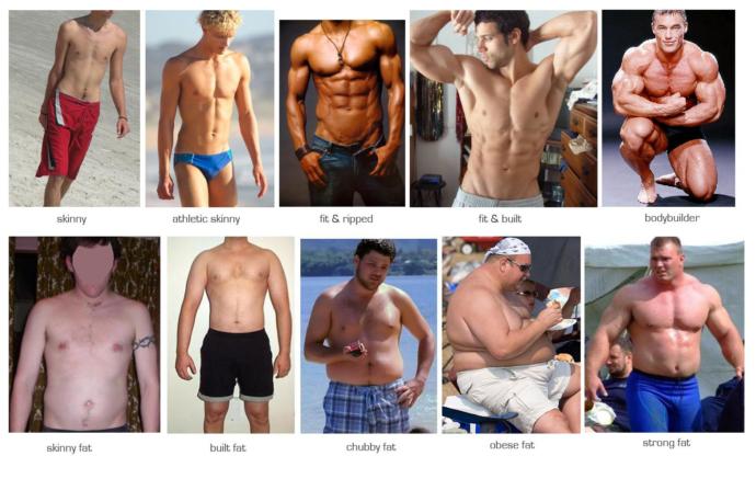 Girls, which body type you think is the most attractive on a guy?