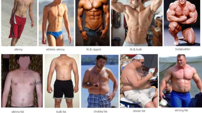 Girls, which body type you think is the most attractive on a guy?