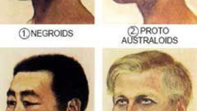 What race are you (predominately) and what race are you attracted to the most?