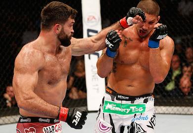 Girls, are you attracted to mma fighters?