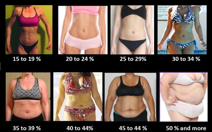 Which body fat percentage is most attractive to you?