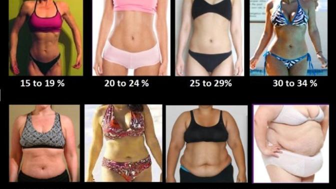Which body fat percentage is most attractive to you?