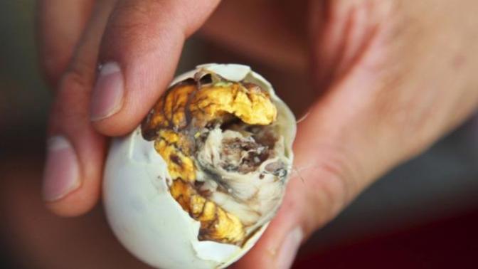 Could you ever try a duck embryo?