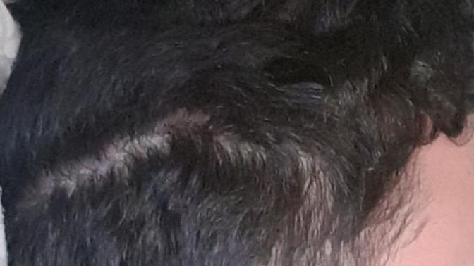 Does it look like I'm going Bald? 》In your opinion 《?