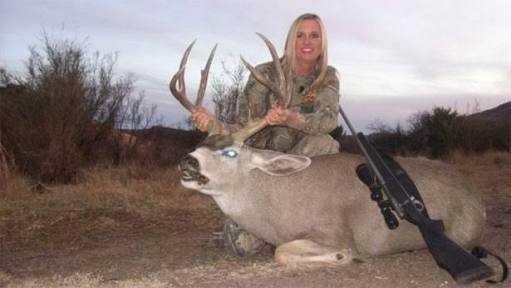 What do you think about animal hunting?