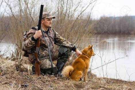 What do you think about animal hunting?