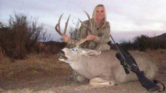 What do you think about animal hunting?
