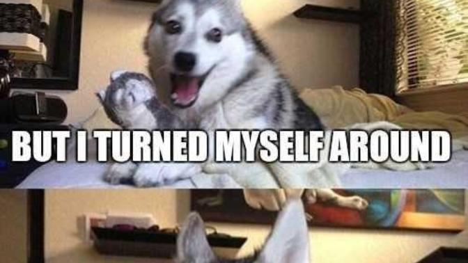 Do you enjoy bad puns/jokes? What are your favorite ones?