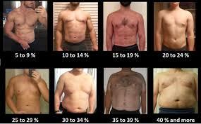 Girls, what body fat you prefer?