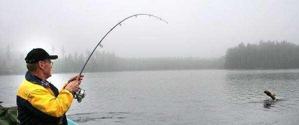 Hunting or fishing? (And why)?