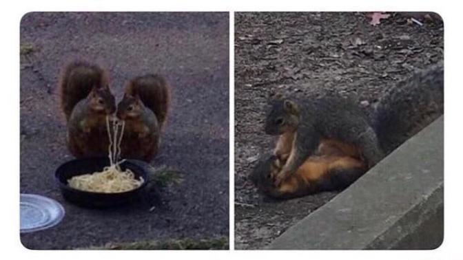 Is this the most romantic thing you've ever seen?