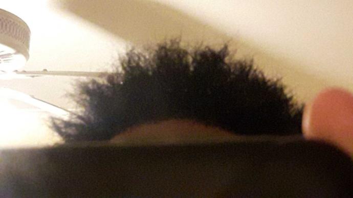 Curly hair community i need your help??