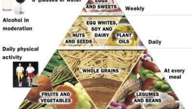 I became vegetarian 2 weeks ago but recently I have been feeling less energetic, why? Am I missing vitamins in my diet?