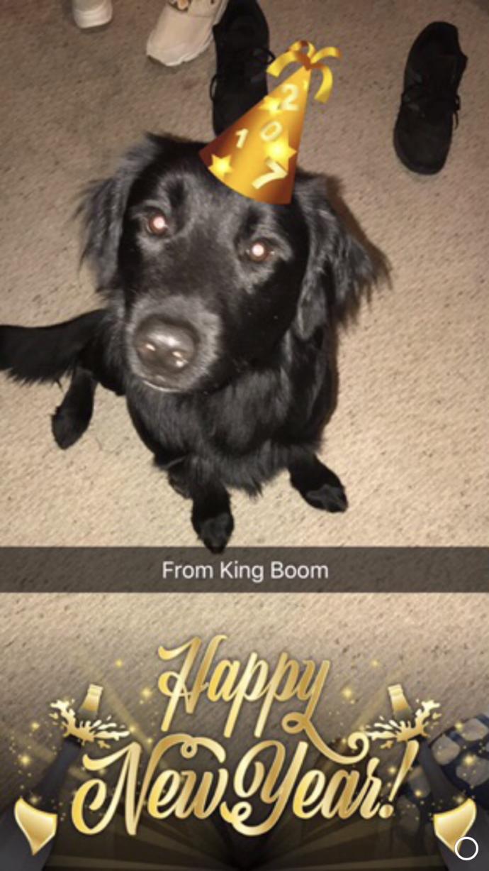 Do you have a pet (s)?