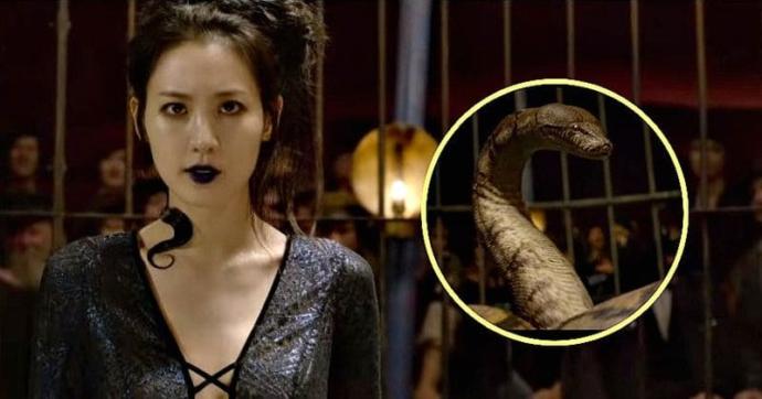 Do you think the backlash on J. K. Rowling for making Nagini an Asian woman is warrented?