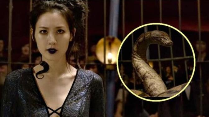 Do you think the backlash on J. K. Rowling for making Nagini an Asian woman is warrented?