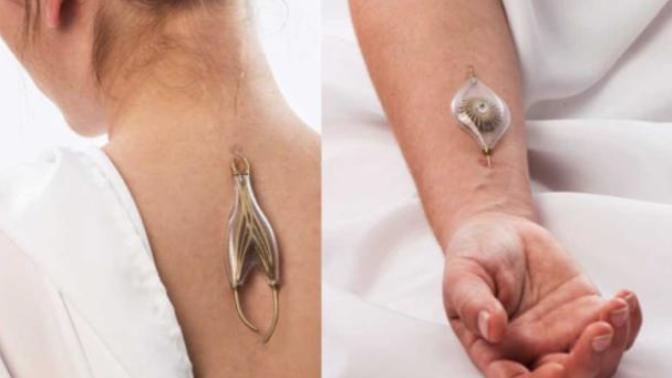 3-D Tattoo? Inventive Body Jewelry? How Far Would YOU Go to Harvest Energy?