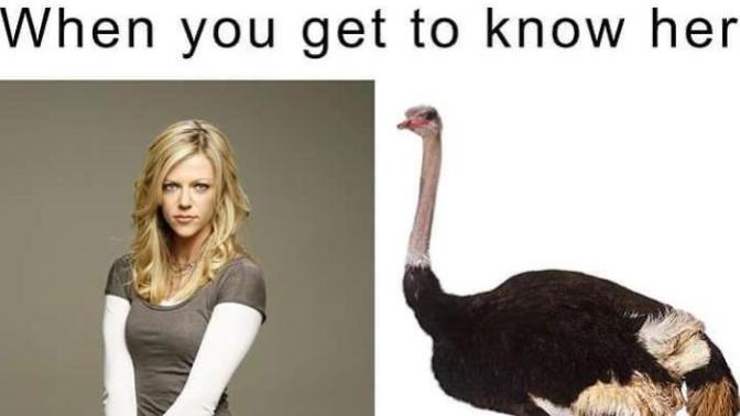 Is it sexual harassment to constantly call your female co-worker a "bird"?