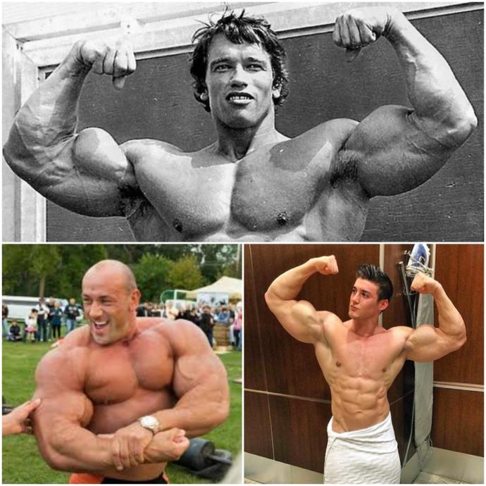 Ladies, how big do you want a guy's arms to be?