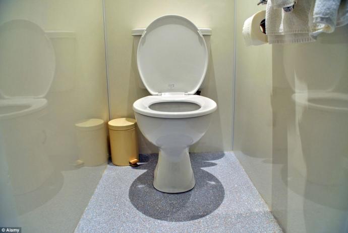 Meaning of Life Question: When not in use, should the Toilet Seat be left Up or Down?