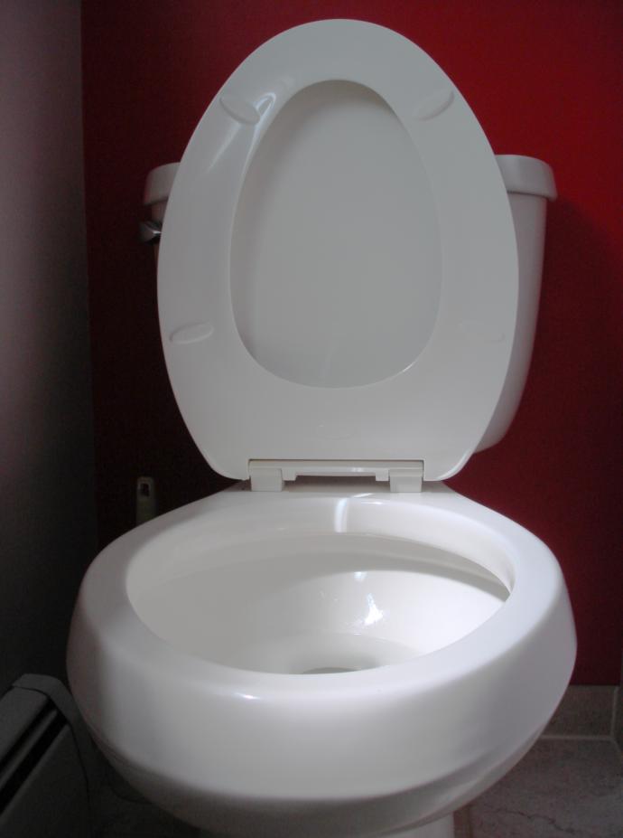 Meaning of Life Question: When not in use, should the Toilet Seat be left Up or Down?