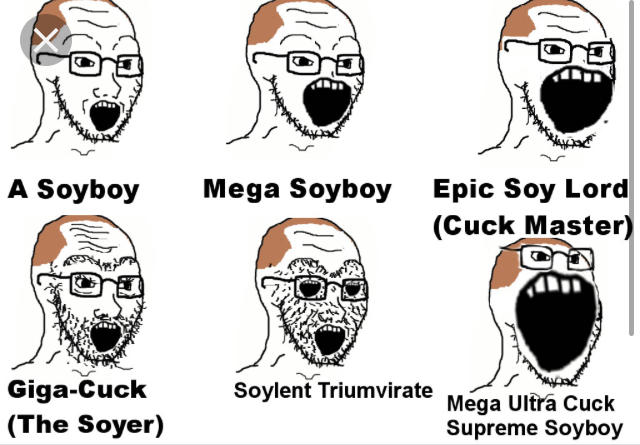 Is there any truth to the idea that a man drinking too much Soy will cause him to lose testosterone and act like a Bata Male?