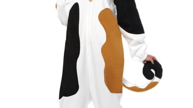Choose my Halloween costume?