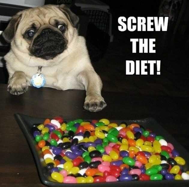 What dishes\food you can't resist?